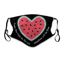 Palestine Face Mask
