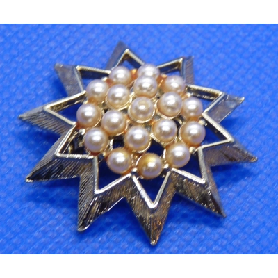 Ten pointed star brooch