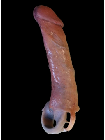 6 inch FTM extension realistic Transgender Prosthetic Penis Packer film prop movie male enhan