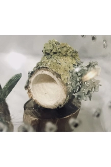 spider/reptile hide Wooden Log with magnets Jump..