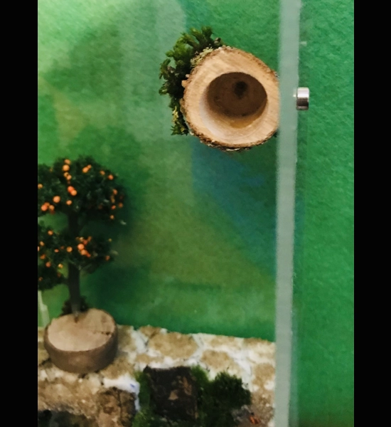 spider/reptile hide Wooden Log with magnets Jumping Spider 16MM  Enclosure