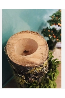 Jumping Spider/reptile Wooden Log Hides Magnetic..