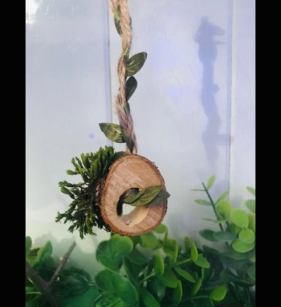 Jumping Spider/reptile Magnetic Rope Log Swing For Enclosures/ Habits/fairy