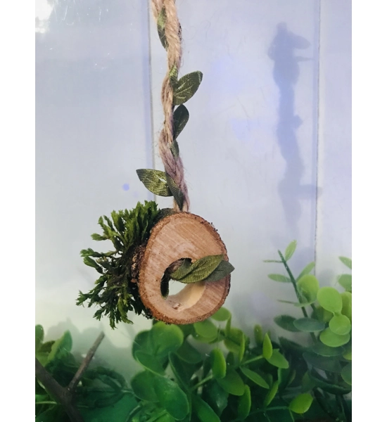 Jumping Spider/reptile Magnetic Rope Log Swing For Enclosures/ Habits/fairy