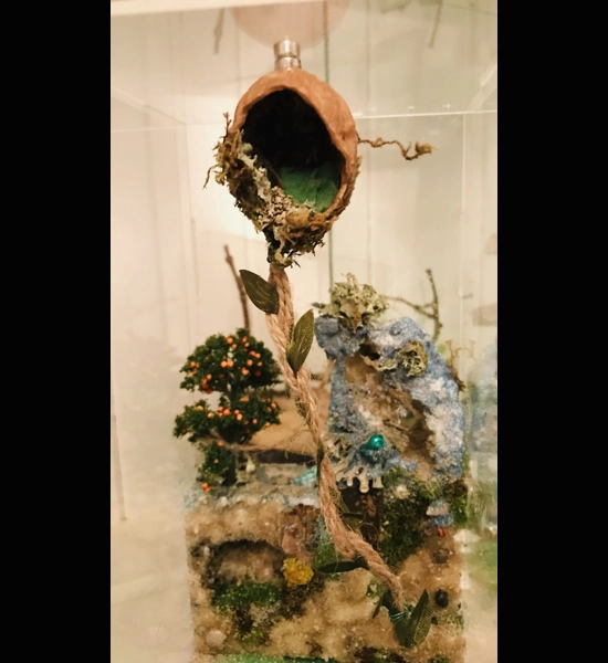 Magnetic walnut hide