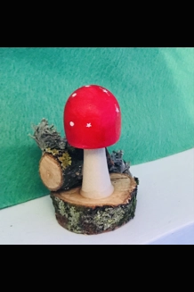 Toadstool hide
