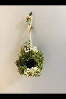 Jumping Spider Magnetic Moss Ball Hide