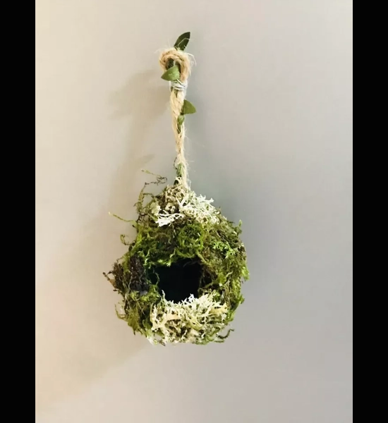 Jumping Spider Magnetic Moss Ball Hide