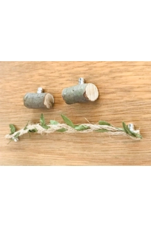 jumping spider magnetic rope bridge and two wooden ledges