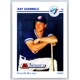 1991 Line Drive AA #357 Ray Gianne..