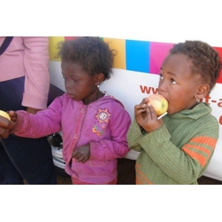 Supply a Bag of Fruit for a Distribution