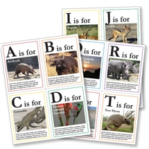 African Animal Flashcards: 8..