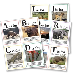African Animal Flashcards: A4