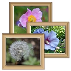 Art Prints: Complete Set