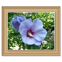 Art Print: Blue Beauty