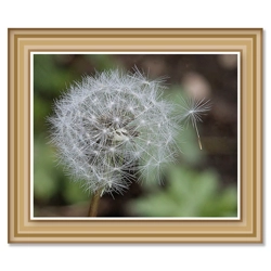 Art Print: Leaving Home