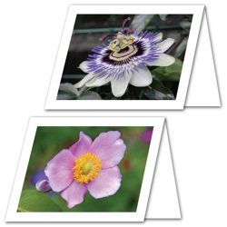 Flower Series Note Cards