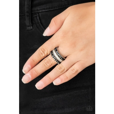 Treasury Fund - Black