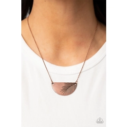 ​Cool, PALM, and Collec..