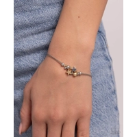 Stellar Specialty - Multi