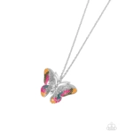 Papillon Pizzazz - Multi