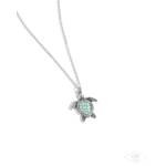 Turtle Tourist - Green