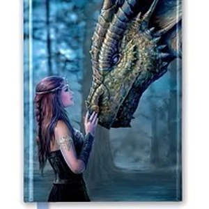 Journal by Anne Stokes - Once Upon A Time