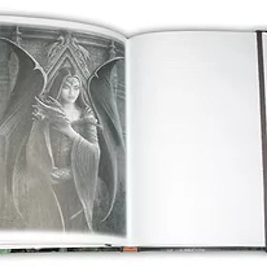 Journal by Anne Stokes - New Horizons / Copperwing