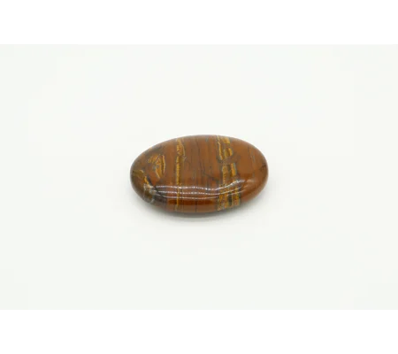 Tiger Jasper Palmstone
