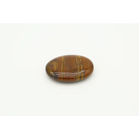 Tiger Jasper Palmstone