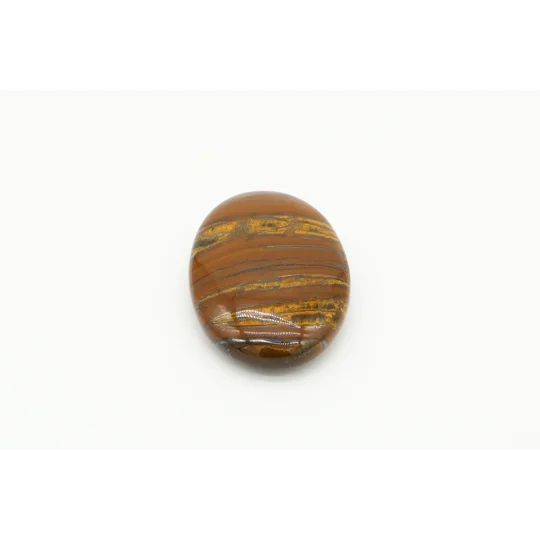 Tiger Jasper Palmstone