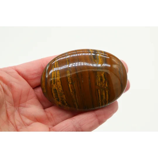 Tiger Jasper Palmstone