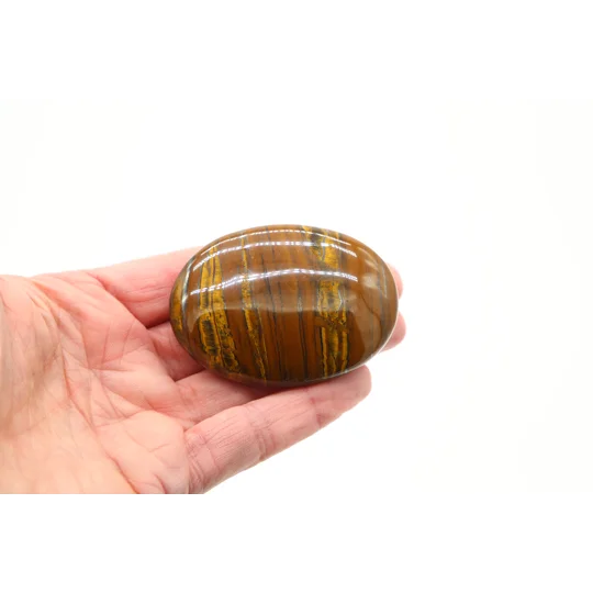 Tiger Jasper Palmstone