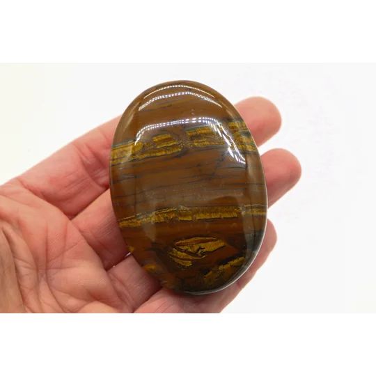Tiger Jasper Palmstone