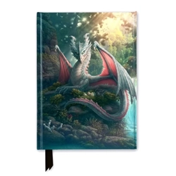 Journal / Notebook  by Kerem Beyit