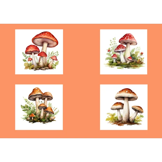 Mushrooms Greeting Card - Pack of 4
