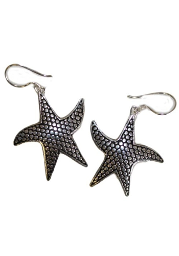 Silver Earrings - Star ..