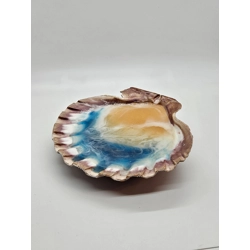 Beach in a Shell