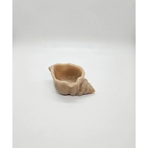 Shell Succulent Planter