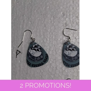 Guitar Pick earrings - Choice