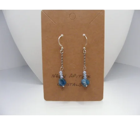 Neon Appetite and Crystal Earrings