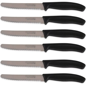 6-teiliges Tischmesser / Tafelmesser Set 11cm
