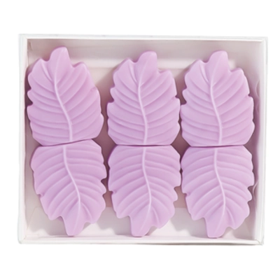 Leaf Passion flower and mango