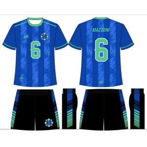 **Premier Men’s Team Jersey**