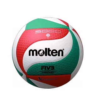 Volleyball MOLTEN V5M5000