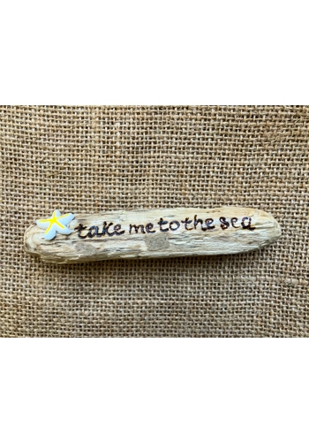 Take me to the sea