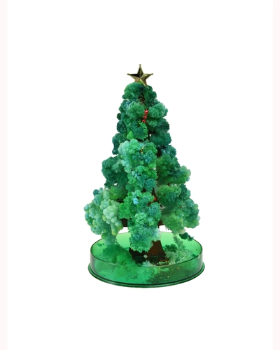 Magic Tree Magic Tree