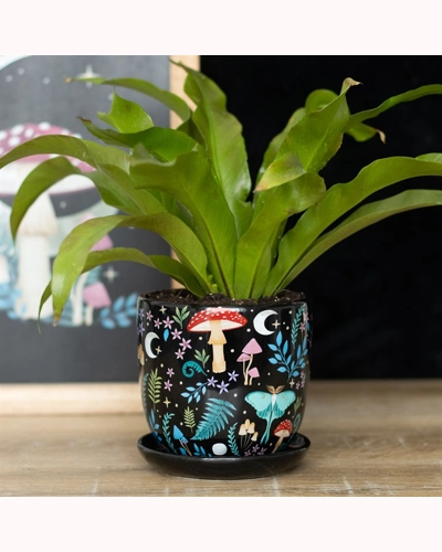 Dark Forest Print Ceramic Plant Pot with Saucer Dark Forest Print Ceramic Plant Pot with Saucer