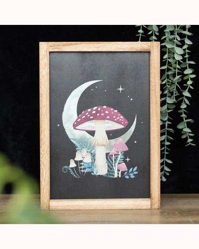 Forest Mushroom Framed Wall Art Print Forest Mushroom Framed Wall Art Print