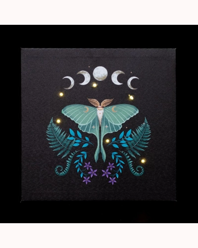 Luna Moth Light Up Canvas Plaque Luna Moth Light Up Canvas Plaque
